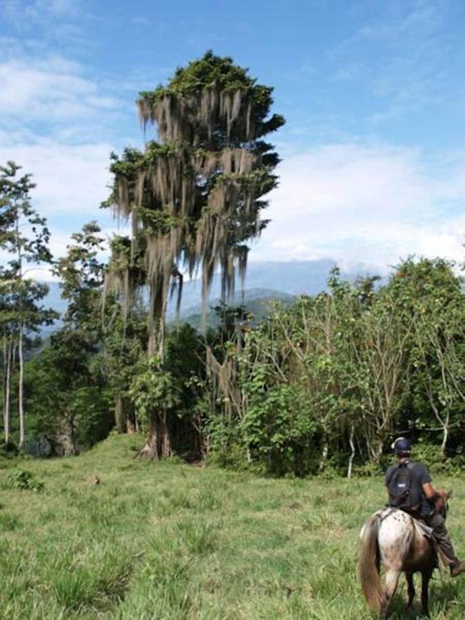 Hotel Hacienda Monteclaro Turrialba Esterno foto