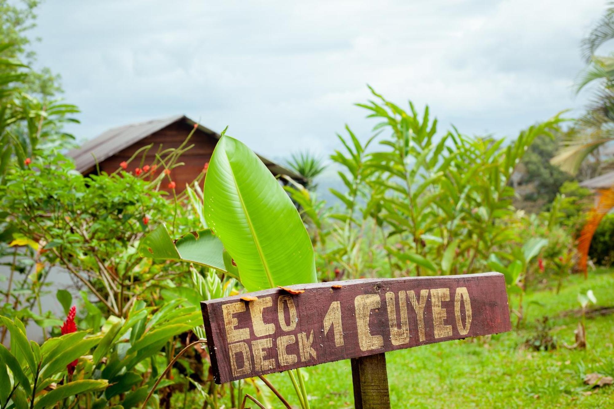 Hotel Hacienda Monteclaro Turrialba Esterno foto